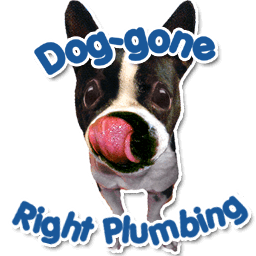Dog Gone Right Plumbing and MORE